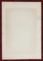 Western Marsh Harrier Bird Antique Print Lithograph Original Art - Image 5