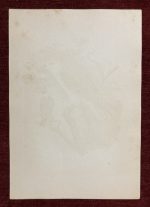 Black Winged Kite Antique Chromolithograph Bird Elanus Caerules - Image 5