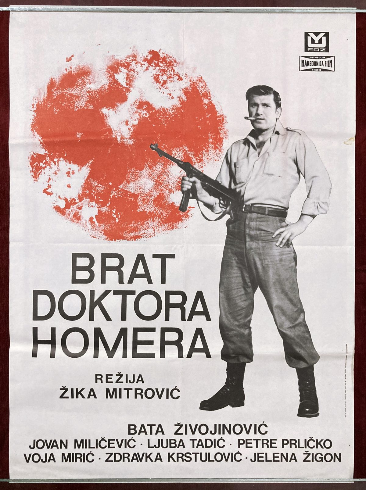 Brat Doktora Homera poster