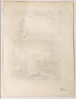 Chinese Cormorant Antique Copperplate 1749 Engraving Duck - Image 3