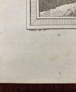 Wild Ducks Schley Antique Copperplate Engraving 1749 - Image 5