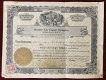 Vintage Capital Stock Certificate Greater Ain Copper Company Miami 1919