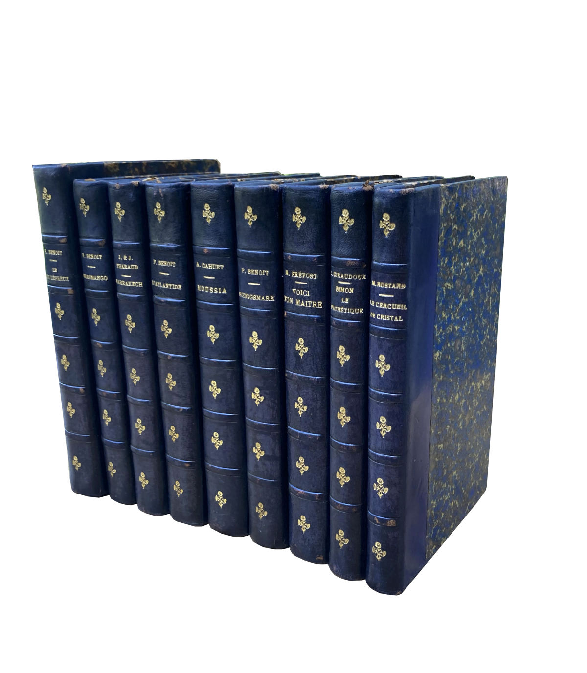 Navy blue decorative book bundle