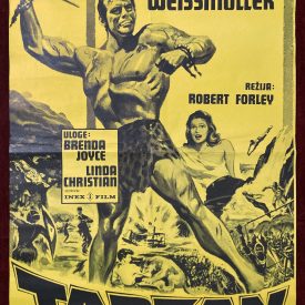 tarzan and the mermaids poster