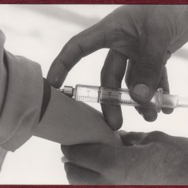 Pakistan Vaccination