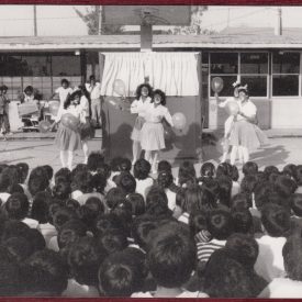 Mexico drugs education