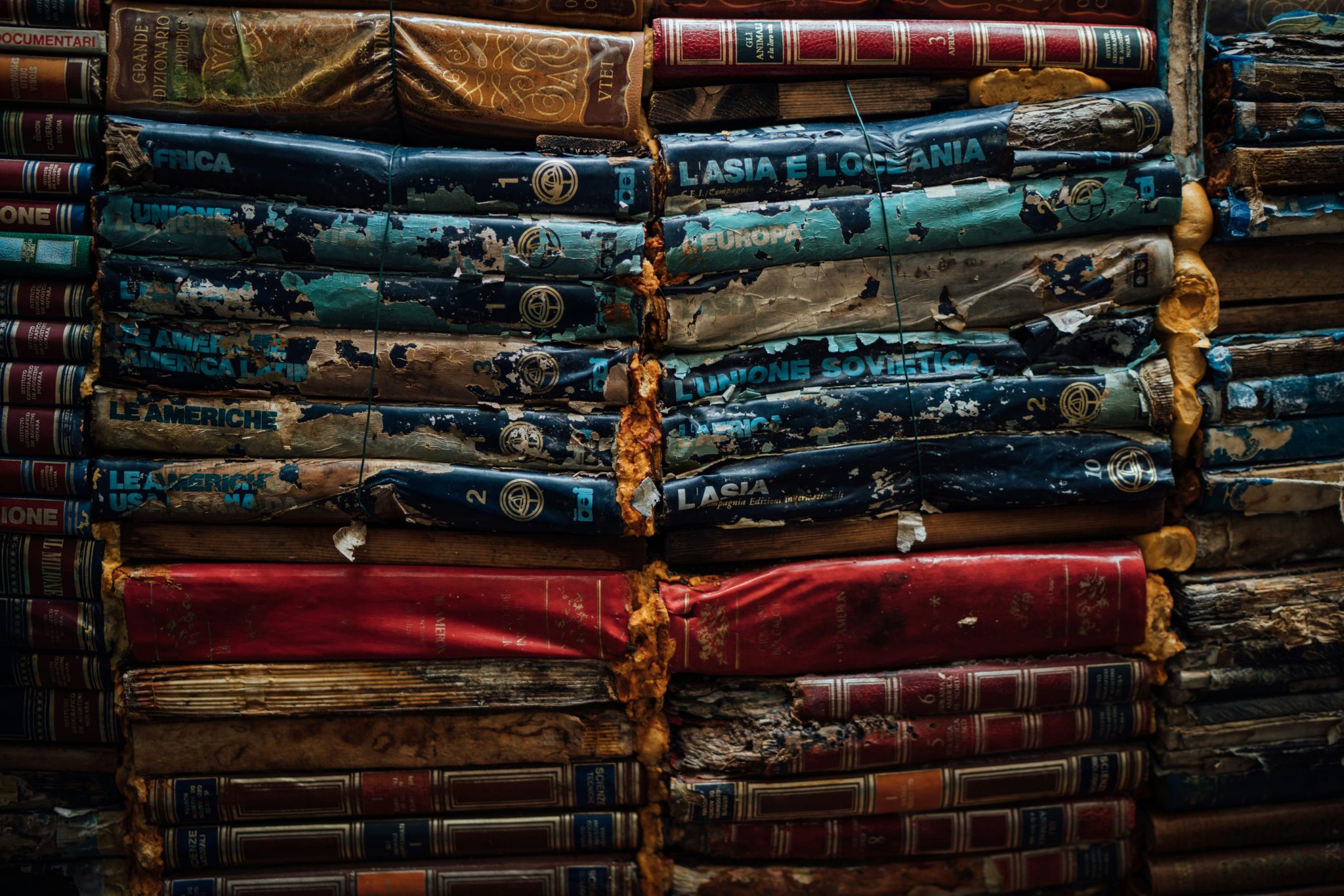 How to get the musty smell out of books? Easy