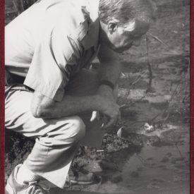 President Jimmy Carter in Ghana