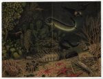Antique Chromolithograph Deep-Sea Creatures Tiefseefauna Meyers Lexikon 1906 - Image 2