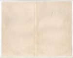 Antique Lithograph Exotic Beetles Kafer Meyers Lexikon 1906 - Image 3